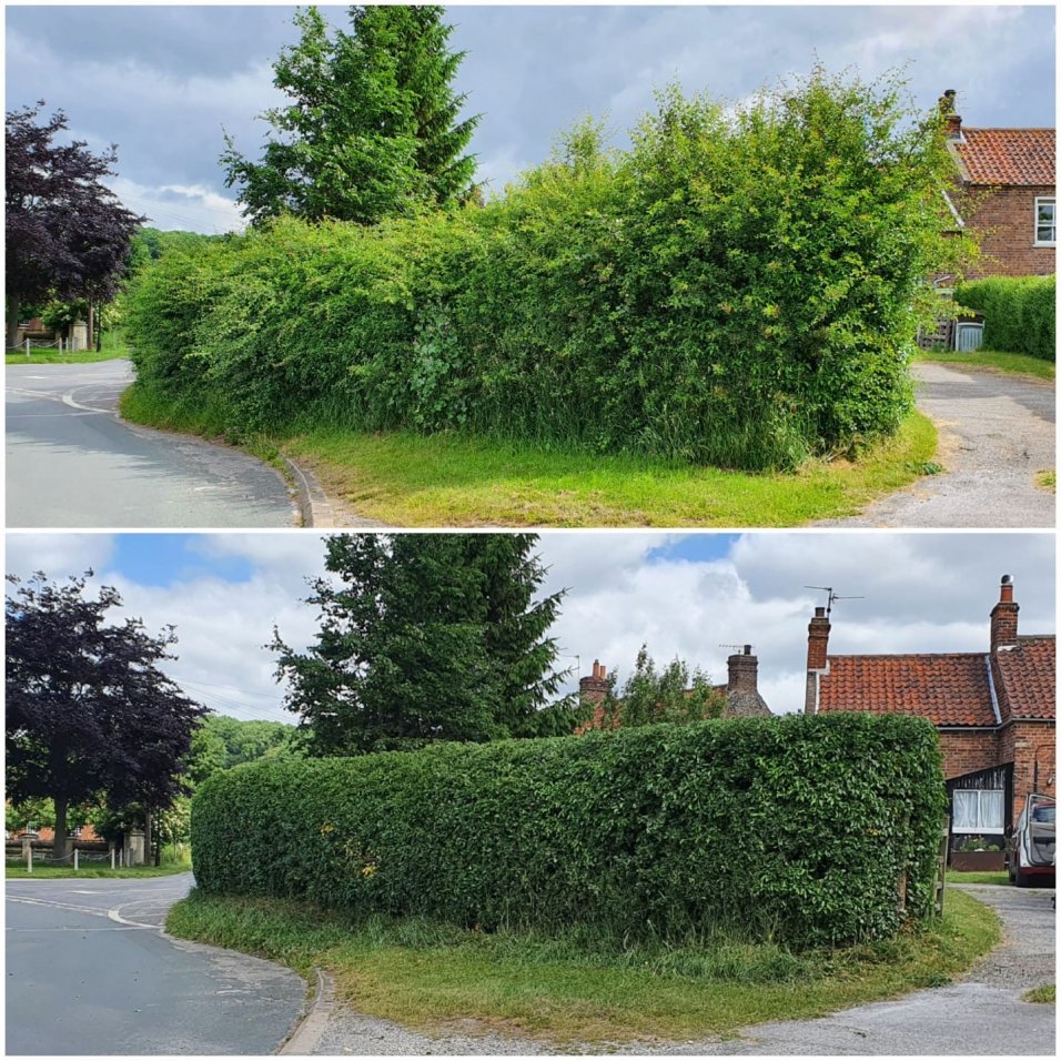 Hedge cutting services a little about South West Landscaping Network